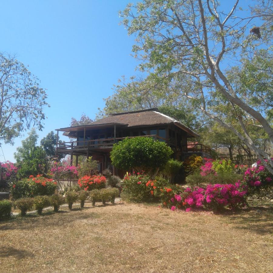 Heaven On The Planet Hotel Ekas Bagian luar foto